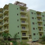DSC06906